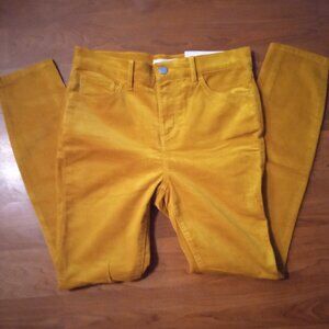 Ann Taylor LOFT Mustard Yellow Corduroy Pants High Rise Skinny 27 P 4P 4 P S